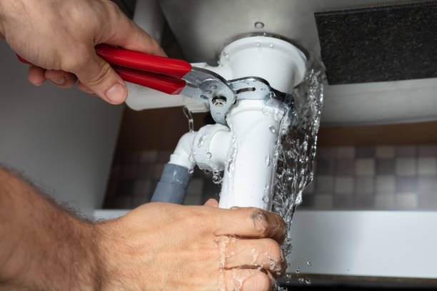 Best Flooded house restoration  in Beverly Hills, FL