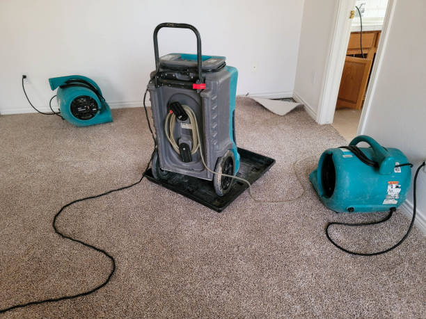 Best Sewage cleanup and water damage restoration  in Beverly Hills, FL