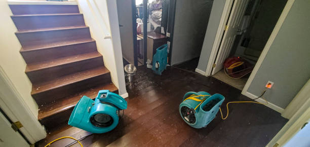  Beverly Hills, FL Water damage restoration Pros