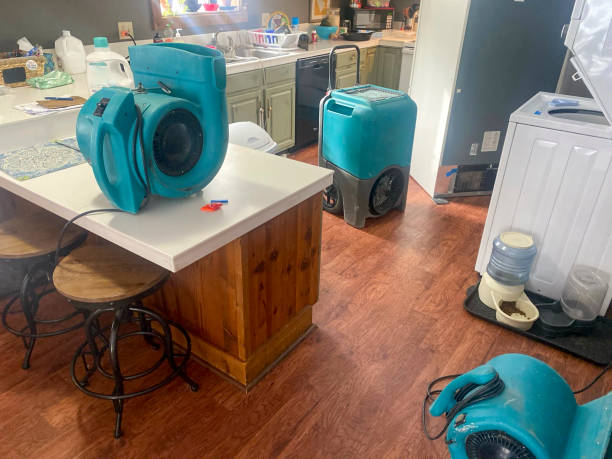 Best Flood damage cleanup  in Beverly Hills, FL