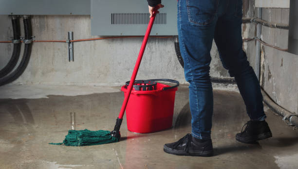 Best Mold removal after water damage  in Beverly Hills, FL
