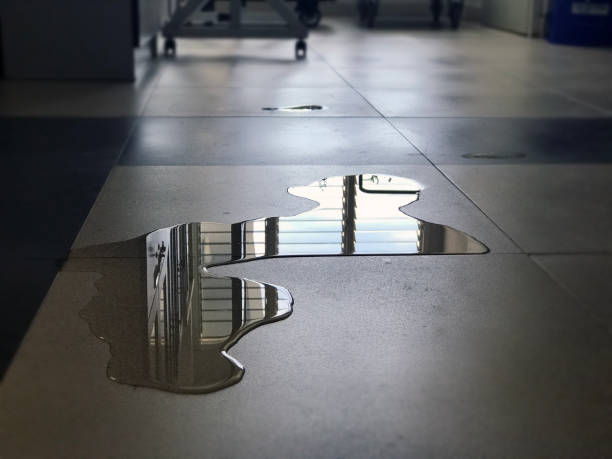 Best 24-hour water damage restoration  in Beverly Hills, FL