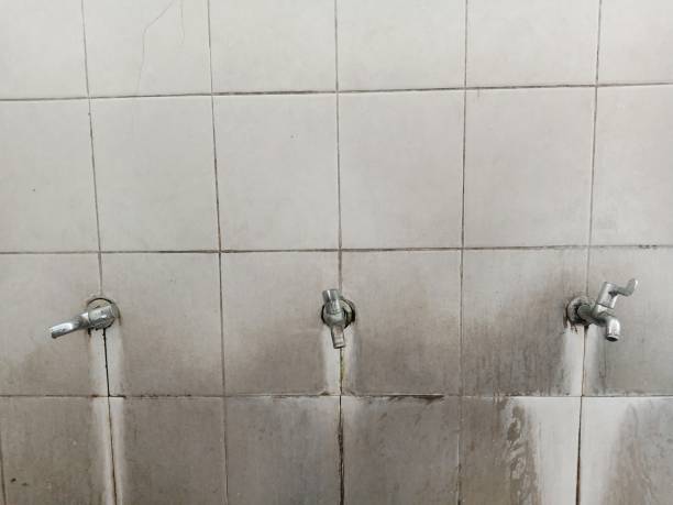 Best Basement water damage restoration  in Beverly Hills, FL