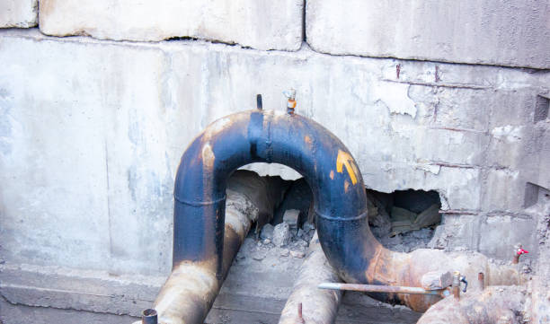 Best Flood restoration services  in Beverly Hills, FL