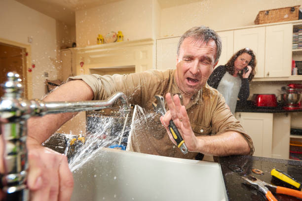 Best Water damage cleanup near me  in Beverly Hills, FL